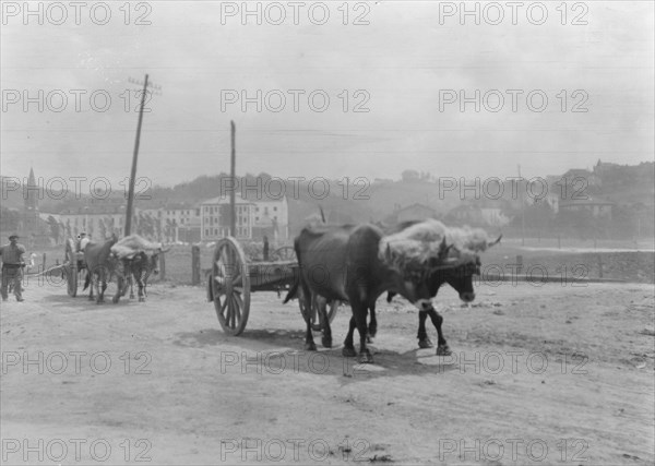 Travel views of Europe, between 1904 and 1938. Creator: Arnold Genthe.