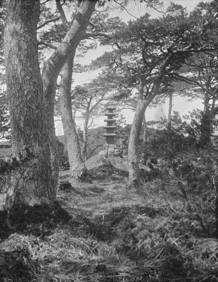 Travel views of Japan and Korea, 1908. Creator: Arnold Genthe.