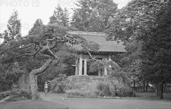 Travel views of Japan and Korea, 1908. Creator: Arnold Genthe.