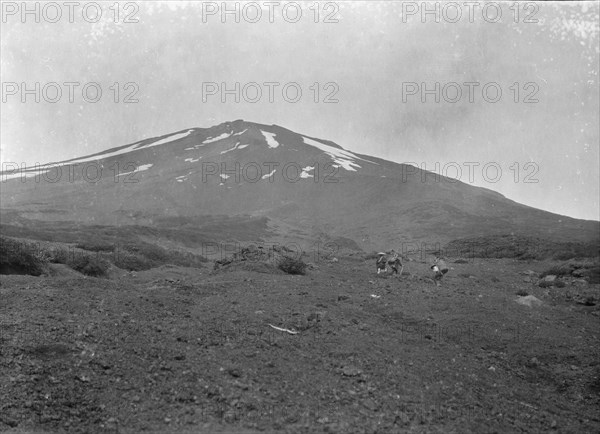 Travel views of Japan and Korea, 1908. Creator: Arnold Genthe.