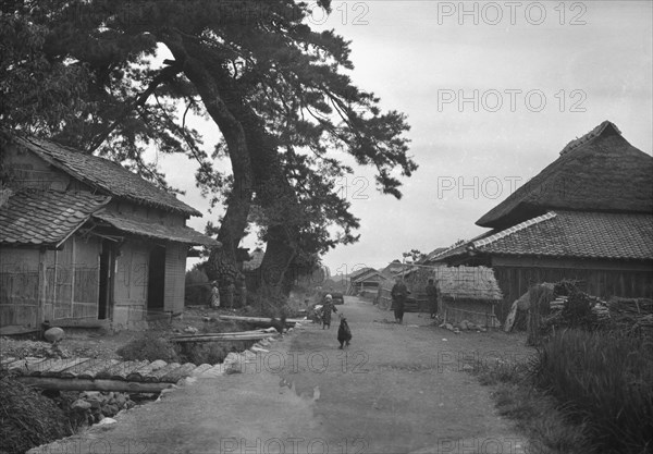 Travel views of Japan and Korea, 1908. Creator: Arnold Genthe.