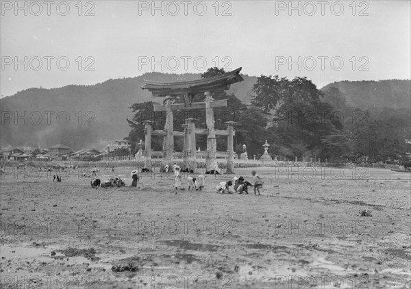 Travel views of Japan and Korea, 1908. Creator: Arnold Genthe.