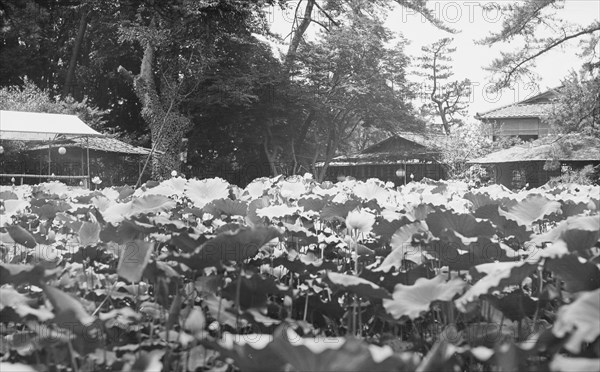 Travel views of Japan and Korea, 1908. Creator: Arnold Genthe.