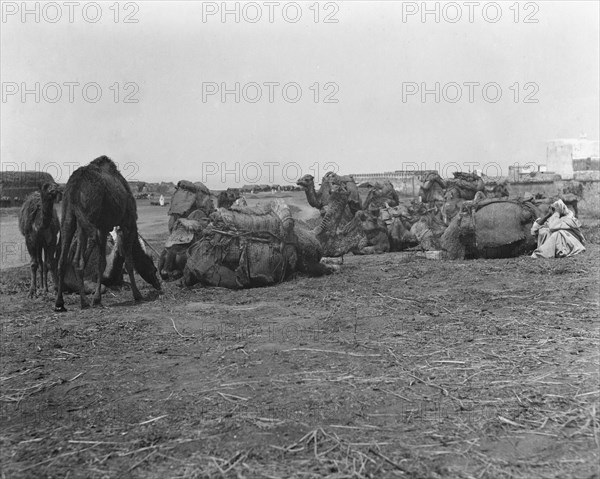 Travel views of Morocco, 1904. Creator: Arnold Genthe.