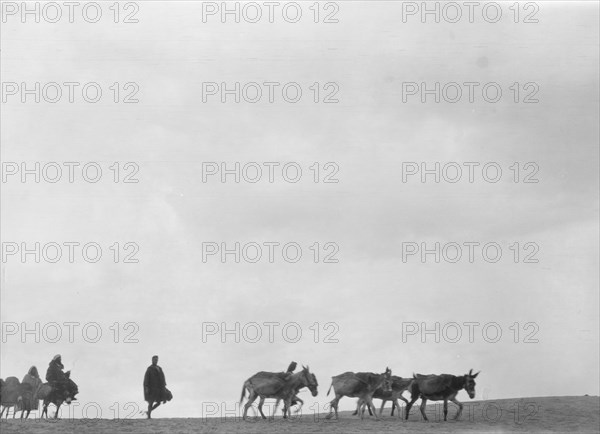 Travel views of Morocco, 1904. Creator: Arnold Genthe.