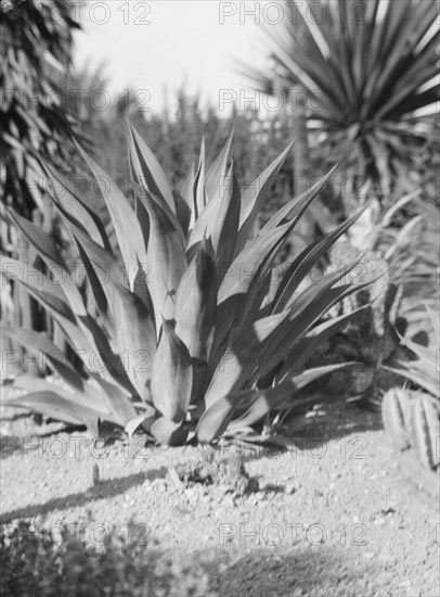 Travel views of the American Southwest, between 1899 and 1928. Creator: Arnold Genthe.