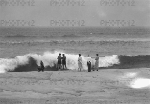 Unidentified group of people, possibly members of the Jewett family, standing on the...c1911-1942. Creator: Arnold Genthe.