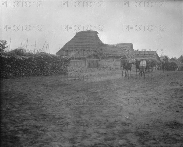 View of Ainu village, 1908. Creator: Arnold Genthe.