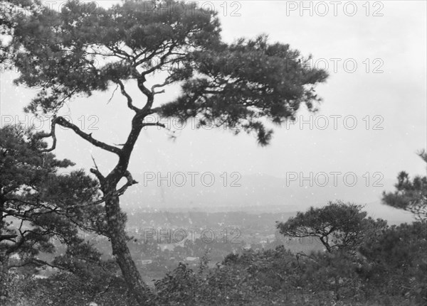 Travel views of Japan and Korea, 1908. Creator: Arnold Genthe.