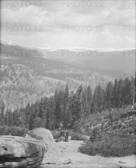 Travel views of Yosemite National Park, between 1903 and 1906. Creator: Arnold Genthe.