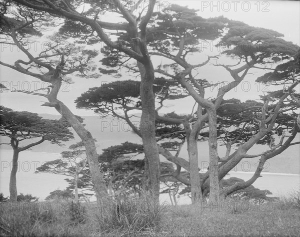 Travel views of Japan and Korea, 1908. Creator: Arnold Genthe.