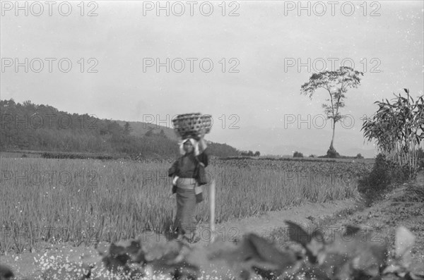 Travel views of Japan and Korea, 1908. Creator: Arnold Genthe.