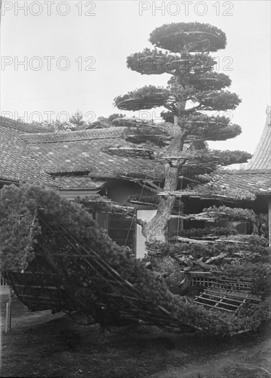 Travel views of Japan and Korea, 1908. Creator: Arnold Genthe.