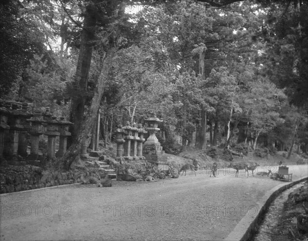 Travel views of Japan and Korea, 1908. Creator: Arnold Genthe.