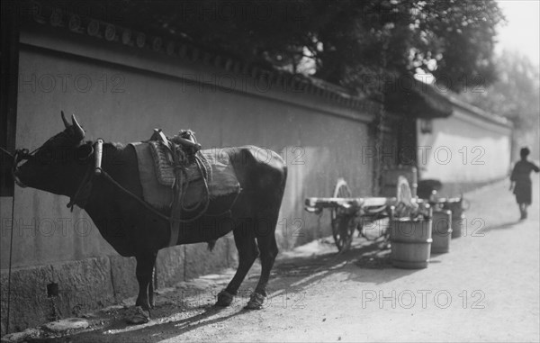 Travel views of Japan and Korea, 1908. Creator: Arnold Genthe.