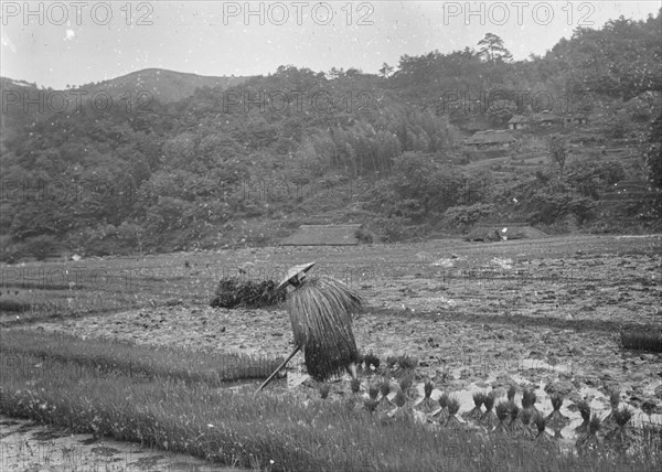 Travel views of Japan and Korea, 1908. Creator: Arnold Genthe.