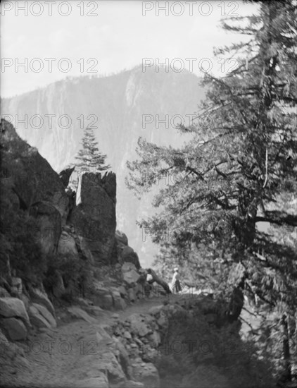 Travel views of Yosemite National Park, between 1903 and 1906. Creator: Arnold Genthe.