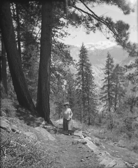 Travel views of Yosemite National Park, between 1903 and 1906. Creator: Arnold Genthe.