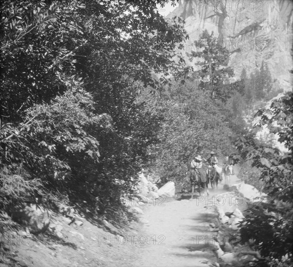 Travel views of Yosemite National Park, between 1903 and 1906. Creator: Arnold Genthe.