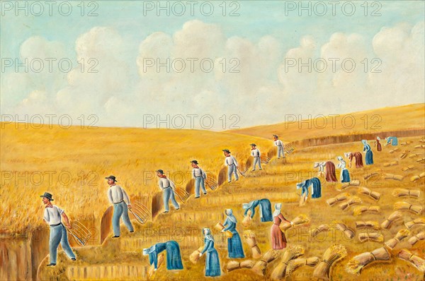 Harvesting with Grain Cradles, c. 1939. Creator: Stanley Mazur.