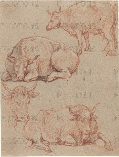 Four Cows. Creator: Claude Lorrain.