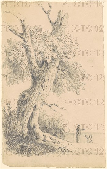 Tree Near the Shore, c. 1830-1835. Creator: James Goodwyn Clonney.