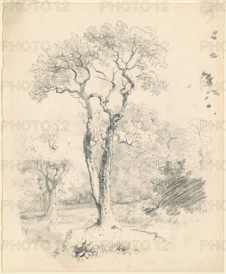 A Glade of Trees, c. 1835-1840. Creator: James Goodwyn Clonney.