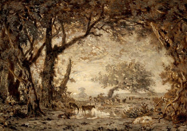 Sunset from the Forest of Fontainebleau, 1848. Creator: Theodore Rousseau.