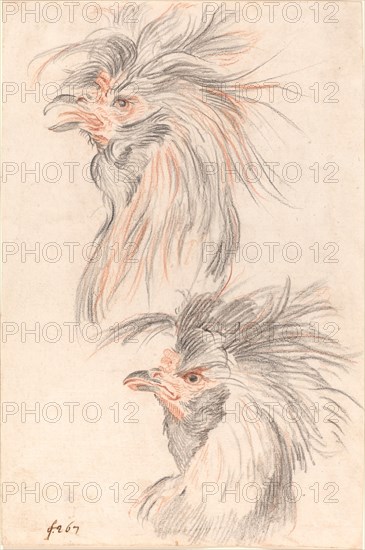 Fighting Cock, c. 1775. Creator: Johann Rudolf Schellenburg.