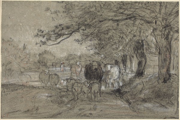 Cows and Sheep under Trees, c. 1850. Creator: Constant Troyon.