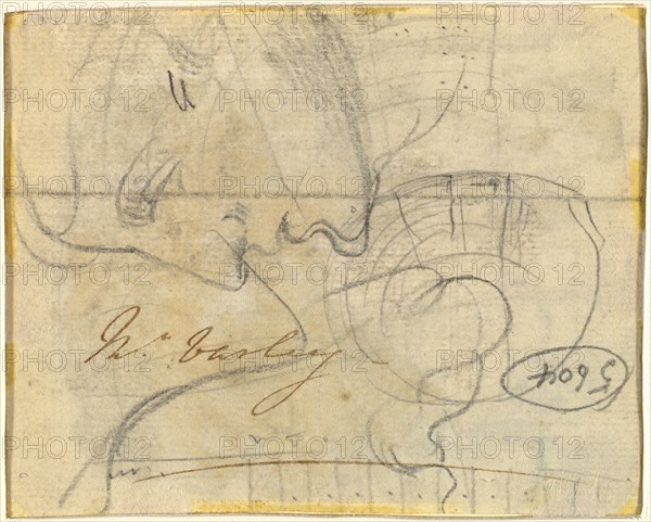 Study of a Head in Profile [verso]. Creator: John Varley I.