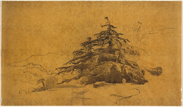 Study of Trees in a Landscape. Creator: John Varley I.