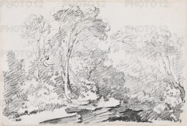 Trees, 1744/1750. Creator: Joseph-Marie Vien the Elder.