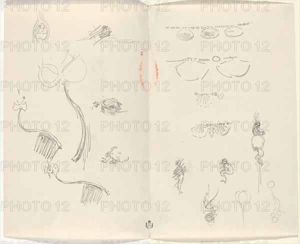 Studies for Jewelry Designs [verso], late 19th century. Creator: Beatrix Godwin Whistler.