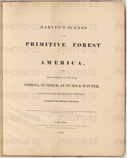 Harvey's Scenes of the Primitive Forest, 1841. Creators: William James Bennett, George Harvey, George Harvey.