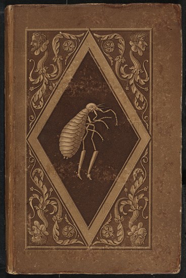 Meister Floh. Ein Marchen in sieben Abentheuern zweier Freunde (Master Flea..., 1822. Creators: Karl Friedrich Thiele, Ernst Theodor Amadeus Hoffmann.