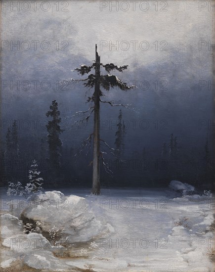 Tree in a Wintry Forest, 1850-1859. Creator: Peder Balke.