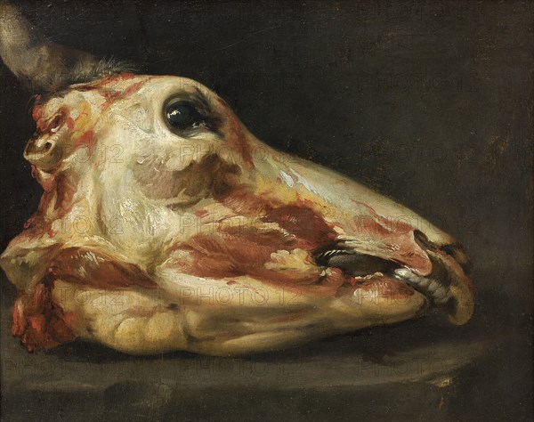 Skinned Head of an Ox, 1688-1691. Creators: Francisco Goya, Felice Boselli.