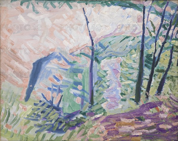 Forest near Bagsværd Lake, 1941. Creator: Niels Larsen Stevns.