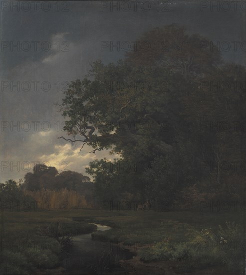 Landscape in Cloudy Weather. Late Afternoon, 1840. Creator: Johan Thomas Lundbye.