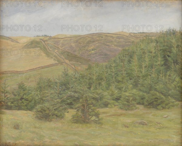 Svanninge Hills, Funen, 1898. Creator: Karl Schou.