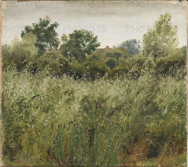 Field of Oats near Vejby, 1843. Creator: Peter Christian Thamsen Skovgaard.