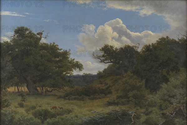 Oak Trees in Nordskoven near Jægerspris, Zealand, 1843. Creator: Peter Christian Thamsen Skovgaard.