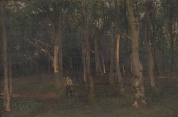 Forest at sunset, 1889. Creator: Hans Smidth.