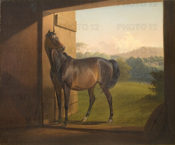 Reveller Mare, 1834-1872. Creator: Fritz Thomsen.