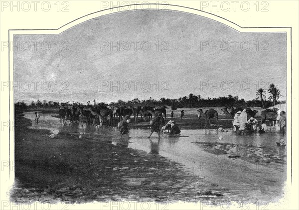 ''Gafsa. L'Oued Baiech; Afrique du nord', 1914. Creator: Unknown.