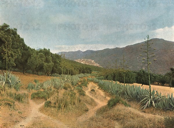 ''La Zaouia du Moulay Idriss; Afrique du nord', 1914. Creator: Jules Gervais-Courtellemont.