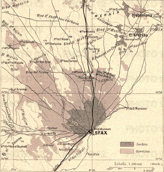 ''Olivettes de Sfax; Afrique du nord', 1914. Creator: Unknown.