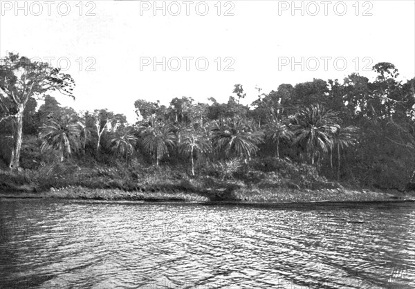 ''Bords du Comoe; L'Ouest Africain', 1914. Creator: Unknown.