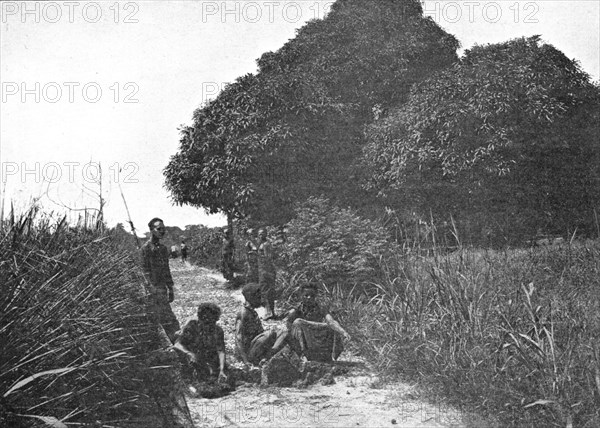 ''La taille d'un sentier dans les forets du Congo Belge; L'Ouest Africain', 1914. Creator: Unknown.